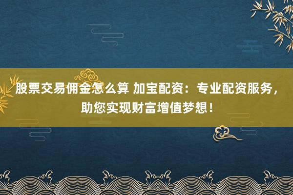 股票交易佣金怎么算 加宝配资：专业配资服务，助您实现财富增值梦想！