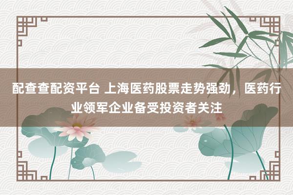 配查查配资平台 上海医药股票走势强劲，医药行业领军企业备受投资者关注