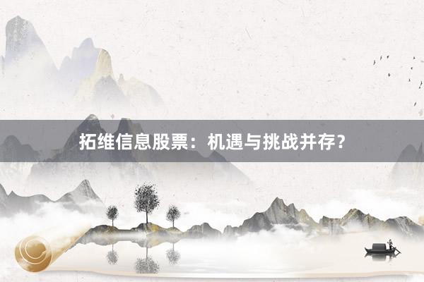 拓维信息股票：机遇与挑战并存？